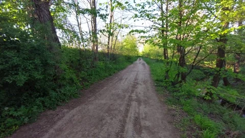 Empty Dirt Road Path Through Green Forest at Golden Hour Vídeos de archivo 334795022