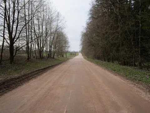 Empty Dirt Road Surrounded by Trees in a Rural Landscape on a Cloudy Day Stock Photos