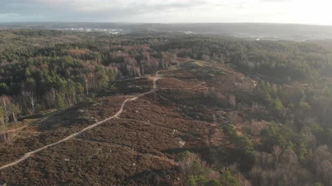 Empty Dirt Road surrounded by vast coniferous forest, Drone view Vídeos de archivo 145465658