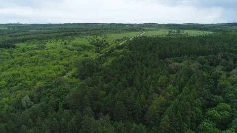 An empty dirt road through a beautiful green pine forest and valley. Stock Footage 124244854