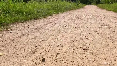 Empty dirt road winding through rural countryside landscape Video stock 314313383