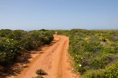 Empty dirt track with red soil in Portugal Stock Photos