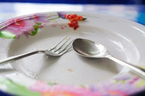 Empty dish after completed meal Stock Photos