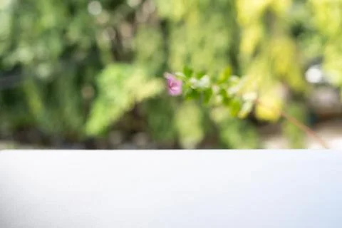 Empty Display Surface with Blurred Green Foliage Background for Product Mocku Stock Photos