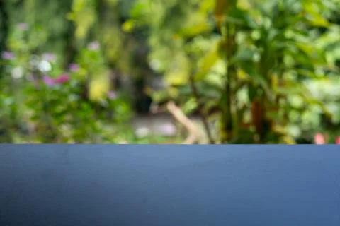 Empty Display Surface with Blurred Green Foliage Background for Product Mocku Stock Photos