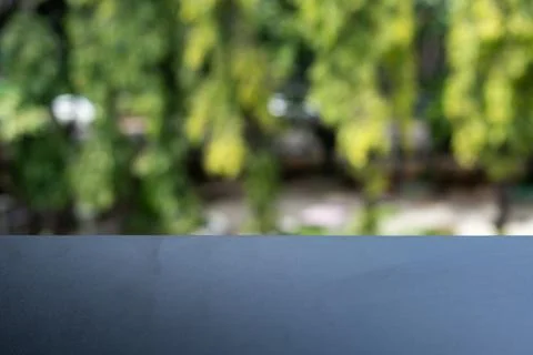 Empty Display Surface with Blurred Green Foliage Background for Product Mocku Stock Photos