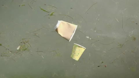 Empty disposable cup in water. pollution of the environment, rivers, seas, ocean Stock Footage 163968403