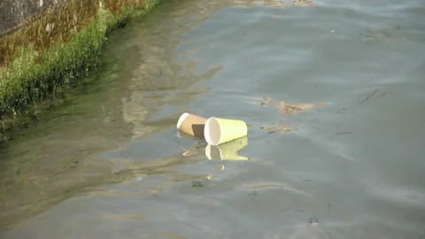 Empty disposable cup in water. pollution of the environment, rivers, seas, ocean Stock Footage 163968812