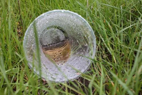 Empty disposable plastic cup on the grass after the rain. Foto stock