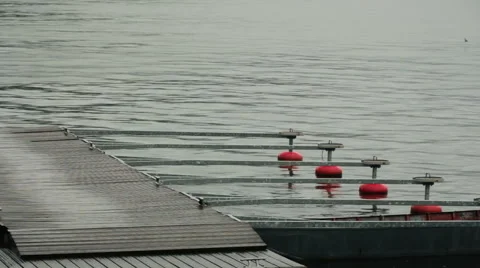 Empty dock on a rainy day Stock-Footage 56877612
