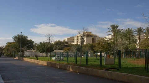 An empty dog ​​park Stock Footage 86624690