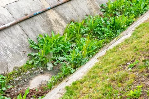 Empty drainage channel in the form of gutter has not been serviced for long time Stock Photos