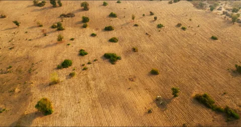 Empty dry field after harvest, Lafiagi, Kwara State. Nigeria Video stock 303997993