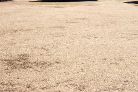 Empty dry lawn field Stock Photos
