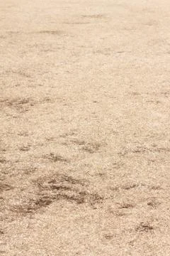 Empty dry lawn field Stock Photos