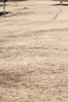 Empty dry lawn field Stock Photos