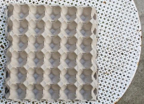 Empty egg box carton Stock-Fotos