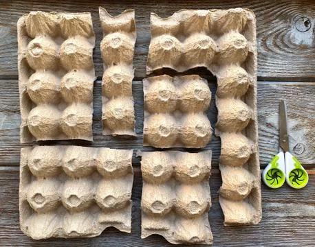 An empty egg box cut into pieces, puzzles. for children, children's craft. Stock Photos
