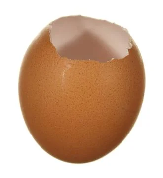 Empty egg brown isolated on white background. Stock Photos