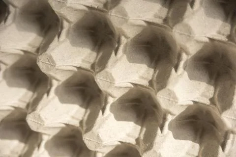 Empty Egg carton Stock Photos