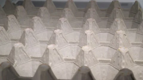 Empty egg carton sliding in slow motion Stock Footage 314088819