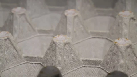 Empty egg carton is slowly displayed Video stock 314088894