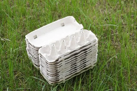 Empty Egg Cartons, Paper Container on Green Grass background. Recycling Conce Stock Photos