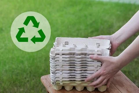 Empty Egg Cartons, Paper Container on Green Grass background. Recycling Conce Stock Photos