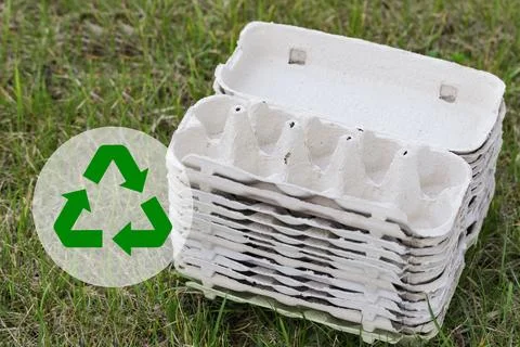 Empty Egg Cartons, Paper Container on Green Grass background. Recycling Conce Stock Photos