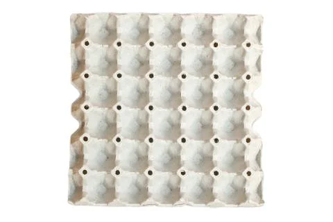 Empty egg panel Stock Photos