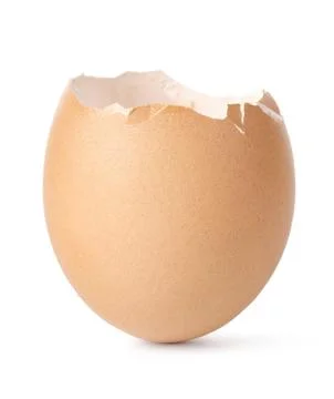 Empty egg Stock Photos