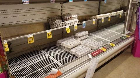 Empty Egg section at grocery store Stock Footage 126531957