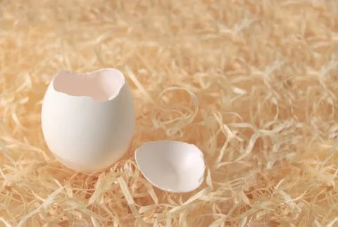 Empty egg shell laying on hay Illustration