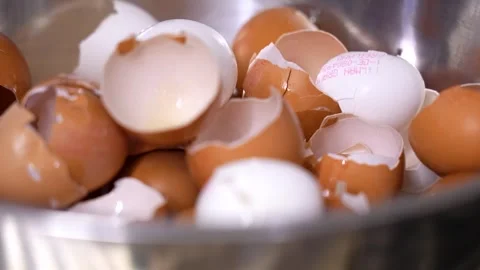 Empty egg shells. Industrial egg processing. Detail shot. Stock Footage 256062124