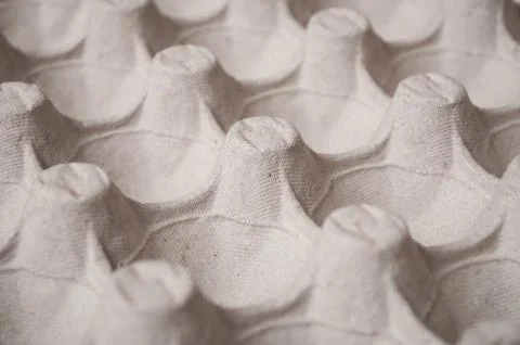 Empty eggs box texture Stock Photos