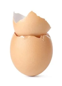 Empty eggs Foto stock