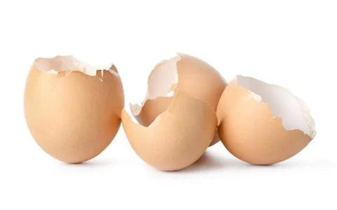 Empty eggs shell Stock Photos