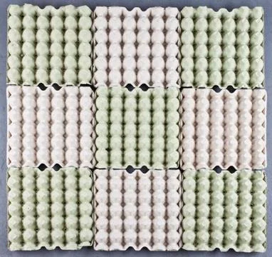 Empty Eggs trays background Stock Photos