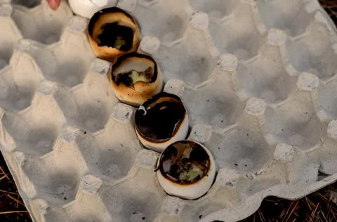 Empty eggshell candles burn in the egg tray. Five burning eggshells in a row. Stock Photos