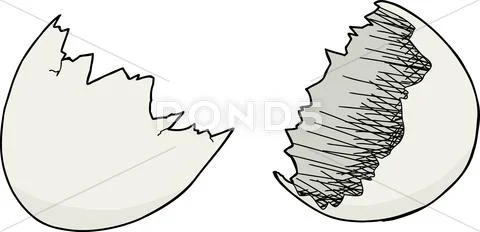 Empty eggshell Stock Illustration