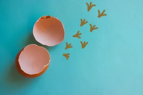 Empty eggshell. Stock Photos