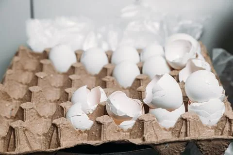 Empty eggshells in an egg carton. Many white eggshells Stock Photos