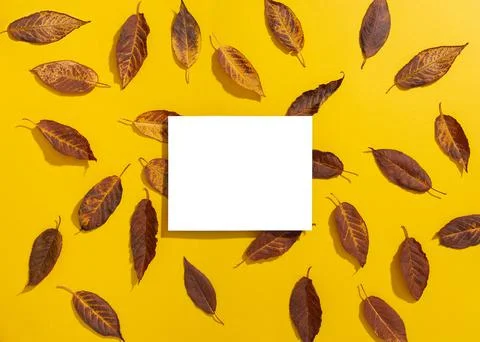 Empty elevated rectangular frame mock up and autumn leaves on yellow backgrou Stock Photos