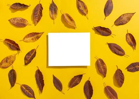 Empty elevated rectangular frame mock up and autumn leaves on yellow backgrou Stock Photos