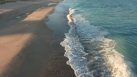 Empty endless wild beach with sand dunes before sun Stock Footage 131828609