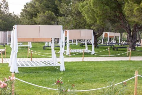 Empty evening beach zone sunbeds on grass Stock Photos