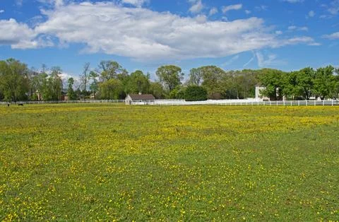 Empty Farm Field in Springtime Stock Photos