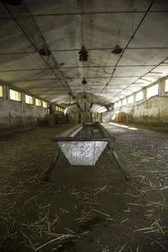 Empty farm interior, construction and architecture, animals Stock Photos
