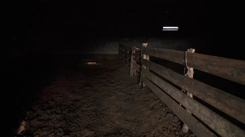 An empty farm without workers and animals. Bankrupt farming. Cattle hangar. Stock-Footage 135870731