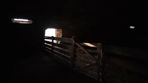 An empty farm without workers and animals. Bankrupt farming. Cattle hangar. Stock-Footage 135870751